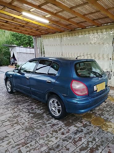 водный катер: Nissan Almera: 2001 г., Механика, Хэтчбэк — 3
