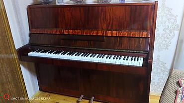 Клавишные инструменты: Akkustik pianino – Belarus (upright) - Korpus: laklı tünd — 2