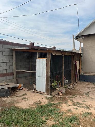 Продажа коттеджей и домов: 🏡 **ПРОДАЁТСЯ ДОМ В ЖИЛМАССИВЕ ОСКОН-ОРДО** Отличный вариант для — 3