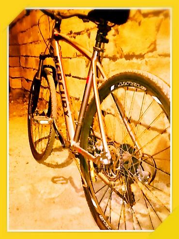 Dağ velosipedləri: Mercury hibrid/mtb tipli velosiped - Brend: Mercury - Çərçivə: yüngül — 5