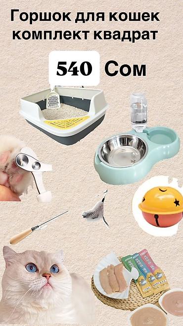 Зоотовары: Оптовый каталог: ветеринарные товары и АГРО товары Ассортимент: - — 4