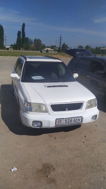 субара форес: Subaru Forester: 2000 г., 2 л, Автомат, Бензин, Универсал