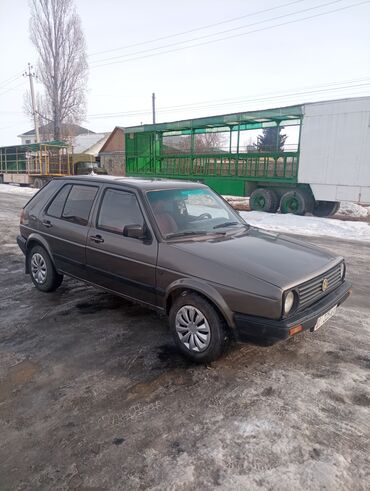 Volkswagen: Volkswagen Golf: 1991 г., 1.8 л, Механика, Бензин, Хэтчбэк