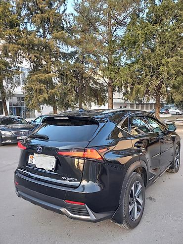 хайландер 2019 гибрид: Lexus NX: 2019 г., 2 л, Автомат, Гибрид, Кроссовер — 5
