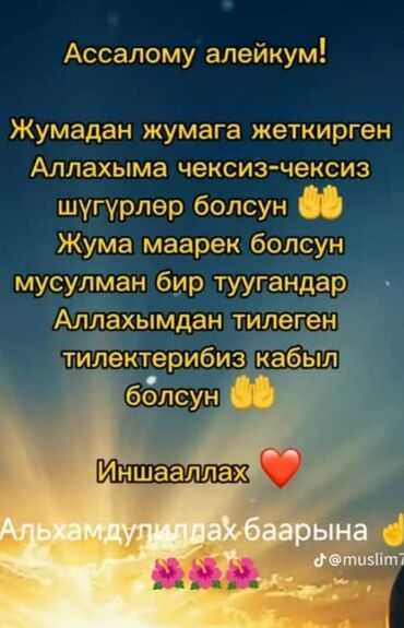 услуги повара на дому в бишкеке: Ашпоз Бышыруучу. 3-5 жылдык тажрыйба