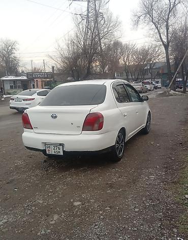 voxy noah: Toyota Echo: 2001 г., 1.5 л, Автомат, Бензин, Седан — 5