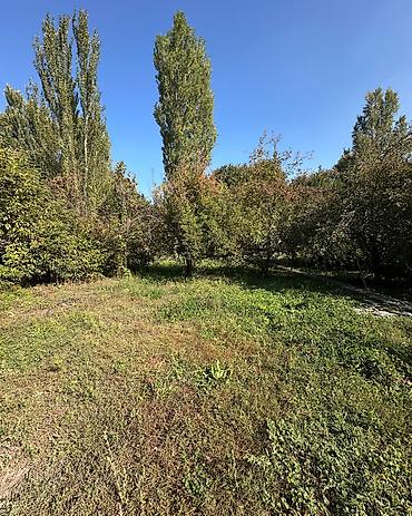 Үйлөрдү сатуу: 5 бөлмө, 80 м², 10 соток, Сокулук, Кыймылсыз мүлк агенттиги — 5