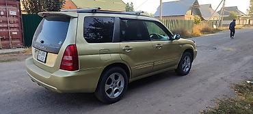 Subaru: Subaru Forester: 2002 г., Автомат, Кроссовер — 3