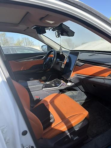 cl 63 2010: Weltmeister EX5, 2021 г., 100000 км, Передний, В наличии — 4