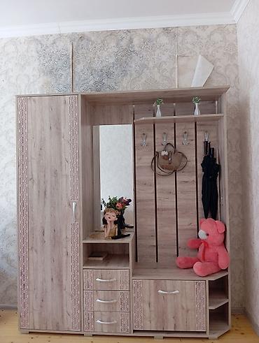 asılqan satılır: İşlənmiş, 1 qapı, Güzgülü, Açılan, Düz dolab — 2