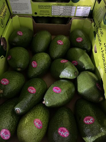 джумка шоколад цена бишкек: АВОКАДО ( AVOCADO ) ЦЕНА: ( ОПТОВАЯ ) ПРОИЗВОДСТВО: ИЗРАИЛЬ (