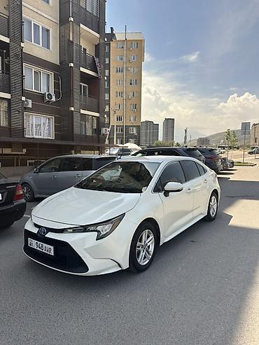 levin corolla: Toyota Corolla: 2020 г., Автомат, Бензин, Седан — 1