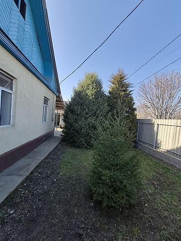 Продажа коттеджей и домов: Продаётся дом 128м кв с участком 11соток. ГЭС-5 Ближайший пригород! — 2