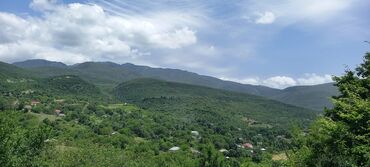 Torpaq sahələrinin satışı: 12 sot, Mülkiyyətçi, Kupça (Çıxarış) — 10