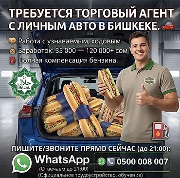 Требуется Торговый агент, График: Шестидневка, Менее года опыта, Карьерный рост, Подработка