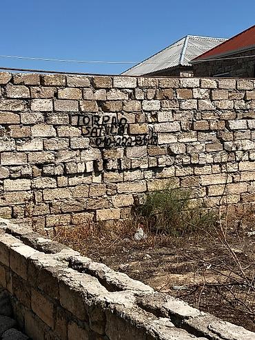 bine sovxoz: Barter mümkündür — 2