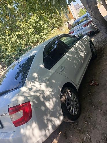 corolla runx: Skoda Rapid: 2017 г., Механика, Седан — 3