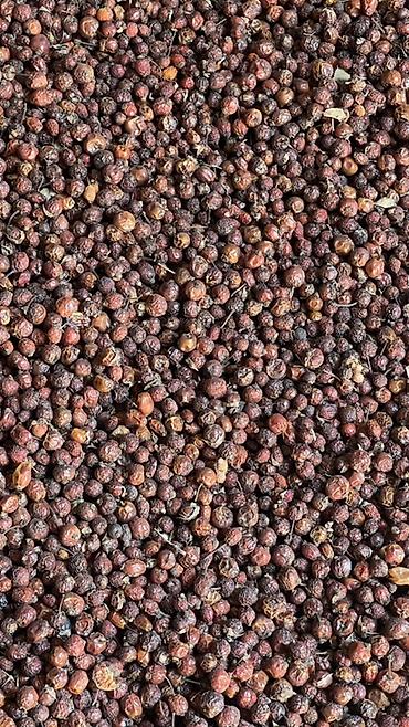 продам курей: Сушёный шиповник (цельные плоды с плодоножками) - Натуральные — 3