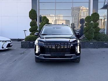 мини зеркало: Hyundai Palisade: 2019 г., 2.2 л, Автомат, Дизель, Кроссовер — 2
