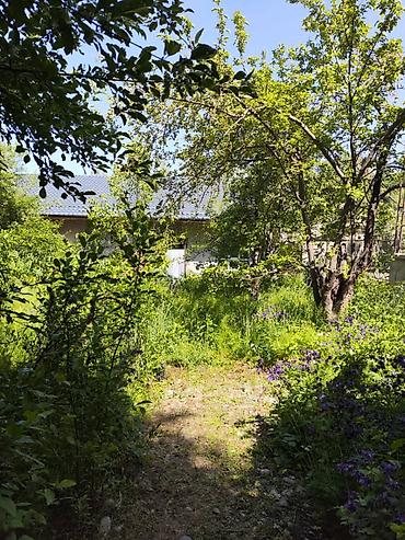 обмен на арашан: Продаю дачу в с. Арашан Дачный кооператив "Электрик" Участок - 8,5 — 1