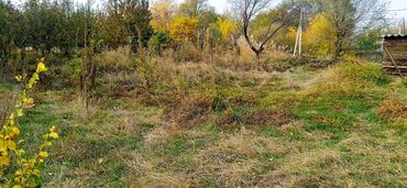 продаю участок чалдовар: 6 соток, Для сельского хозяйства, Красная книга, Договор купли-продажи