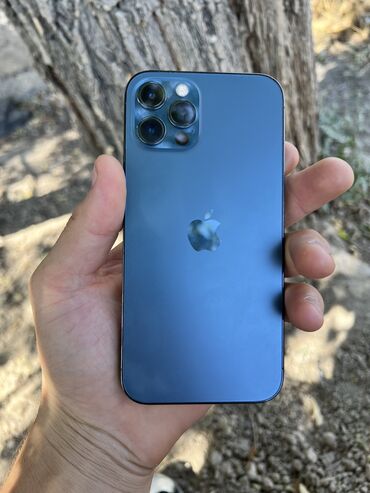 ноутбук в рассрочку бишкек: IPhone 12 Pro, Колдонулган, 256 ГБ, Коргоочу айнек, Каптама, 77 %