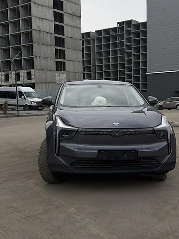 Weltmeister: Weltmeister 2022 г., 75000 км — 2