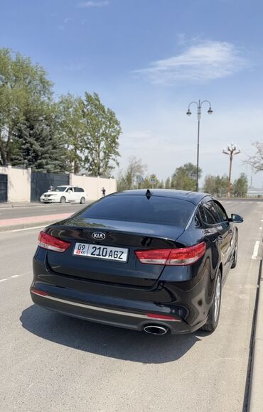 Kia: Kia Optima: 2016 г., 2.4 л, Автомат, Бензин, Седан — 10