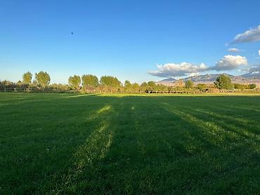 Продажа участков: 27500 соток at lalafo.kg — 9 Продажа участков: 27500 соток — 9