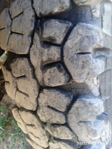 ЗИЛ: ЗИЛ : | 1986 г. 600 км Бус at lalafo.kg — 10 ЗИЛ: ЗИЛ : | 1986 г. 600 км Бус — 10