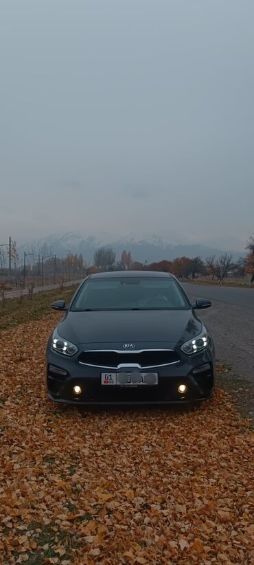 передний бампер опель вектра с: Kia K3: 2019 г., 1.6 л, Вариатор, Бензин, Седан