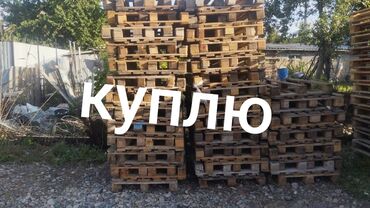 Другие товары для дома и сада: Куплю паддоны в любом количестве размер 120/80 120/100 адрес: Маевка
