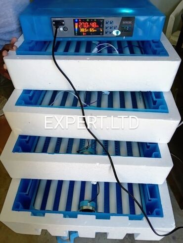 Kənd təsərüfatı heyvanları üçün digər mallar: Smart-rejimli,avtomat inkubator satılır. İnkubator yenidi,və təmiz — 3