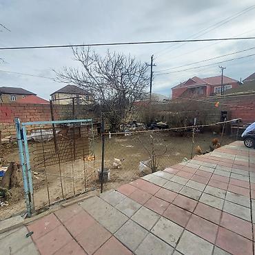 aşağda: 1 sot, Mülkiyyətçi — 3