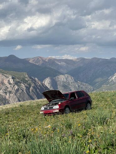 машина каракол голф: Volkswagen Golf: 1993 г., 1.8 л, Механика, Бензин, Хетчбек