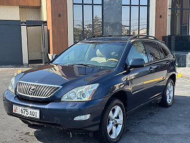 Lexus: Lexus RX: 2004 г., 3.3 л, Автомат, Бензин, Кроссовер — 2