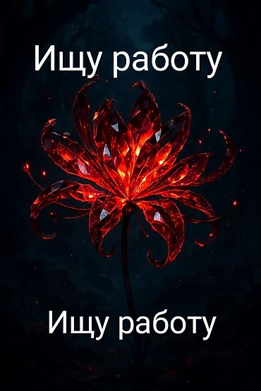 няня по выходным: Жумуш издеп атам няня,жана сиделка для бабушек или для ограниченных — 1