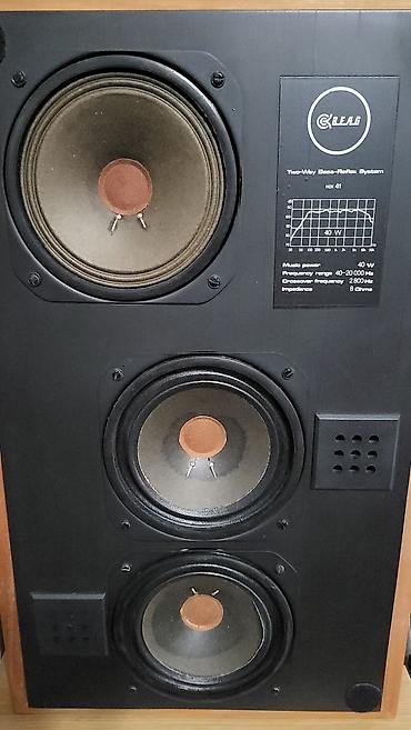 Динамики и колонки: Редкая Акустическая система BEAG HOX 41 (венгерское производство) — 4