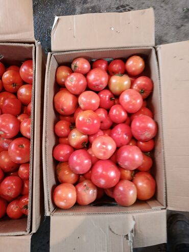 ящик для клубника: Помидоры Красные, Оптом