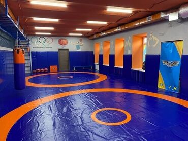 Другое для спорта и отдыха: Канат борцовские ковры гимнастические маты груши чучело медболы — 4