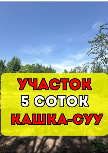 земельная доля: 5 соток, Курулуш, Кызыл китеп
