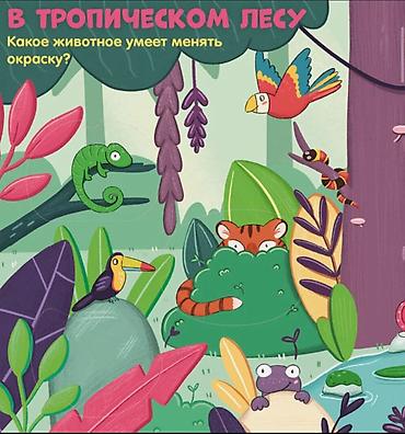 clever: Книга для детей «Животные. Книжка с окошками» (издательство CLEVER) - — 2