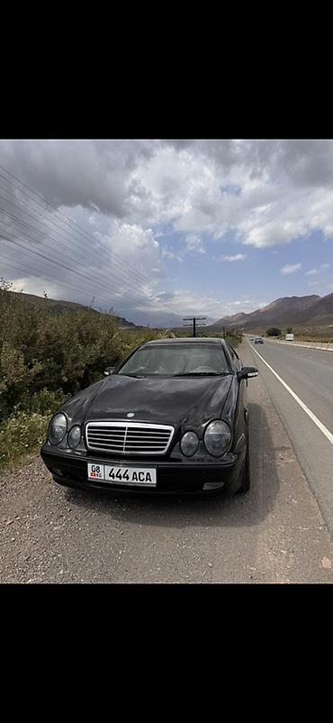 w210 e280: Mercedes-Benz CLK-Class: 2002 г., 3.2 л, Автомат, Бензин, Купе — 1