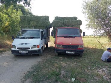 мебель на заказ бишкек инстаграм: Продаётся клевер второй кос тюки плотные зелёные