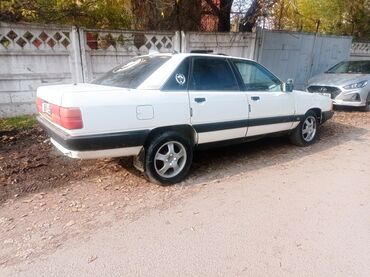 туманки на ауди: Audi 100: 1989 г., 2.3 л, Механика, Бензин, Седан