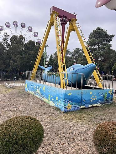 kacele: Karusel Kiçik delfin” yelləncək gəmisi - Dəniz mövzulu dizayn: mavi — 1
