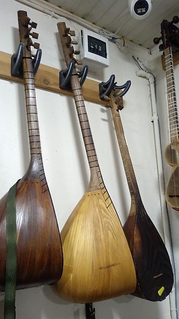Sazlar