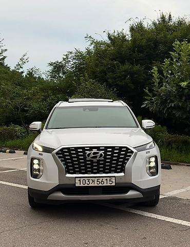 volvo fx480: Hyundai Palisade: 2019 г., 2.2 л, Автомат, Дизель, Кроссовер — 1