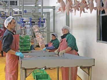 курак надом: 📌 ПТИЦЕФАБРИКА зп от 95 000-132 000 📍г.Пaвлoво PФ. Без Опыта, Вахта!