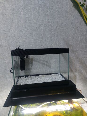 Akvariumlar: Ölçü 30×20×15

Ev və ofis üçün estetik, baxımı asan mini akvaryum — 5